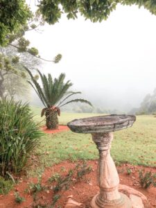 misty morning at qunu falls lodge