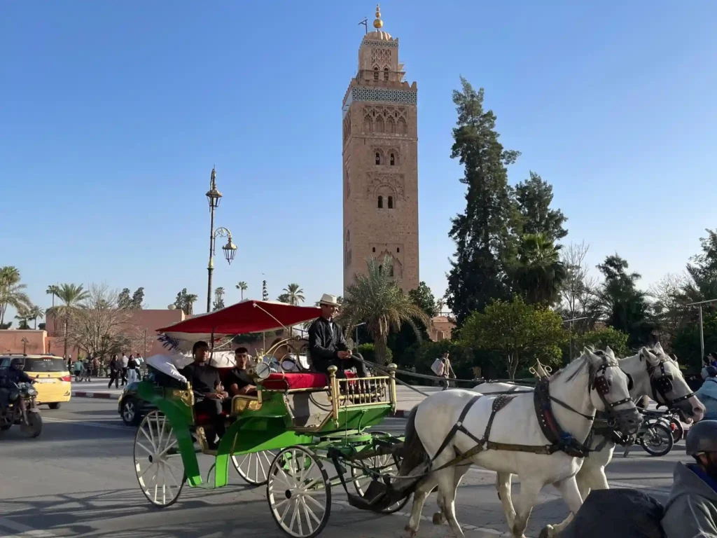 Marrakech horse carriage