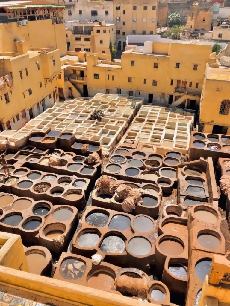 Morocco with kids chouara tanneries in fez
